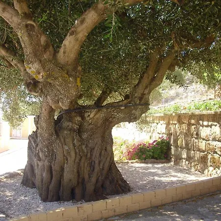 Asteras 2* Argostoli (Kefalonia)
