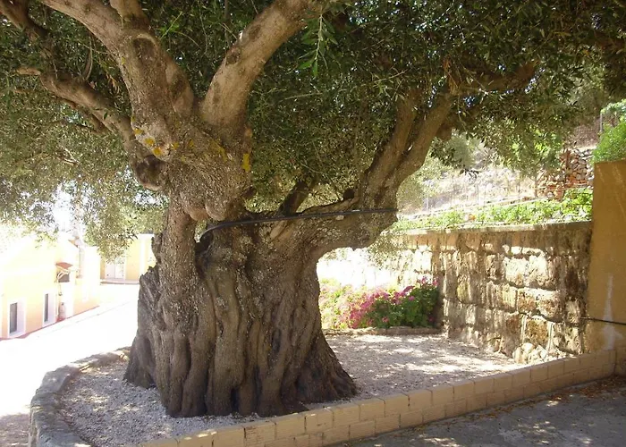 Asteras 3* Argostoli (Kefalonia)